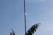 5 LÝ DO BẠN NHẤT ĐỊNH PHẢI LẮP ĐẶT HỆ THỐNG PHUN THUỐC TỰ ĐỘNG CHO CÂY SẦU RIÊNG