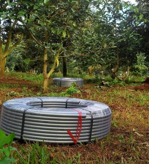 Ống ldpe bạc 16mm - 16B1