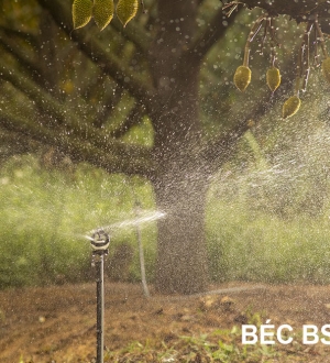 Béc Tưới Bù áp BSSUPER - 51