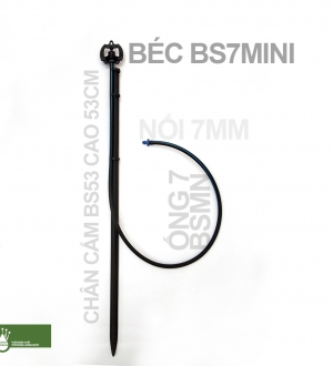 Chân cắm BS53 - cao 53cm
